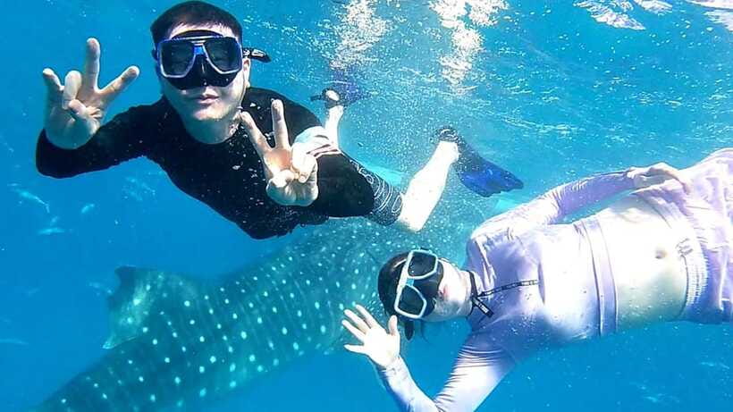 Cebu: Whale Shark, Tumalog Waterfall, and Moalboal Tour - Is $144 a fair price?