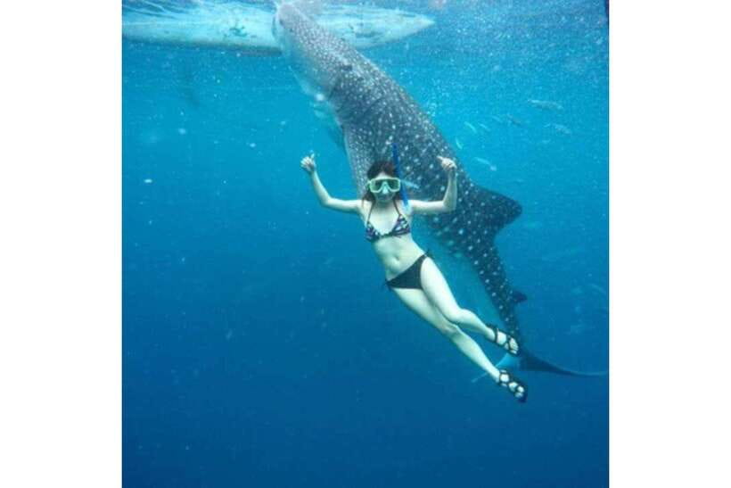 Cebu:Whale Shark, Waterfall, and Sardine Run Group Tour+Meal - Inambakan Falls for a cool-water reset