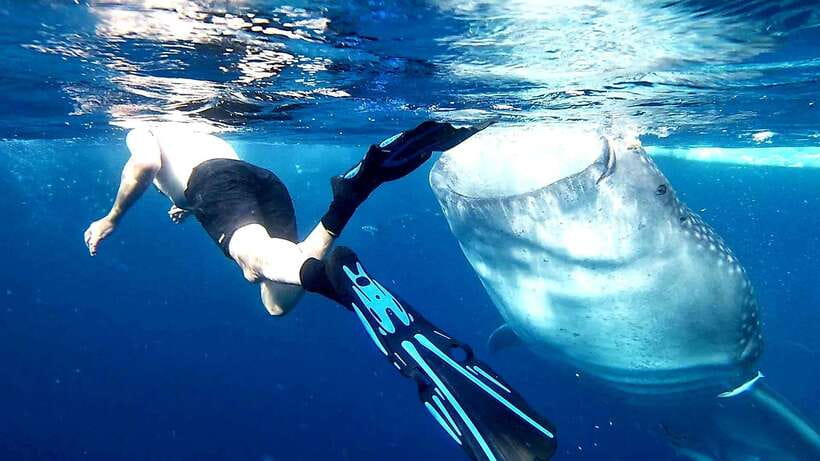 Cebu: Whale Sharks, Ka-Treasure Water Terraces & Simala Tour - Ka-Treasure Water Terraces: pretty, but not wild