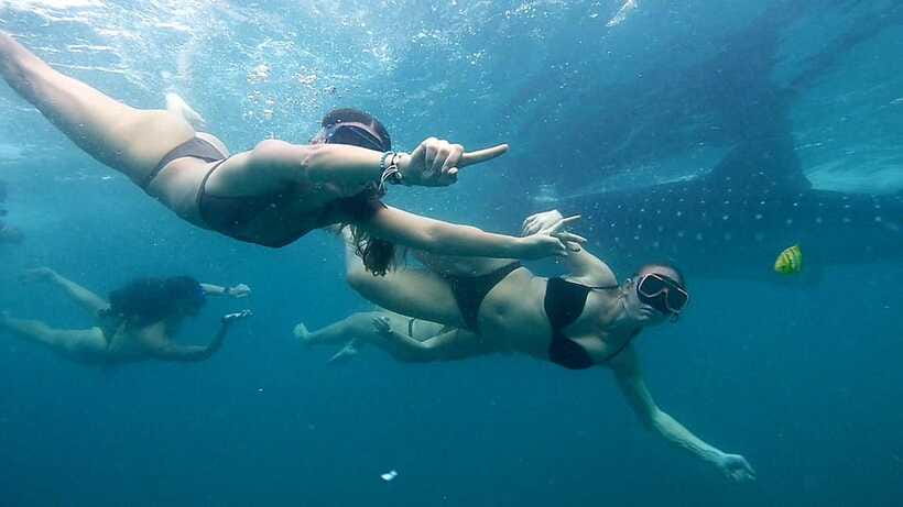 Cebu: Whale Sharks, Ka-Treasure Water Terraces & Simala Tour - What the private vehicle changes