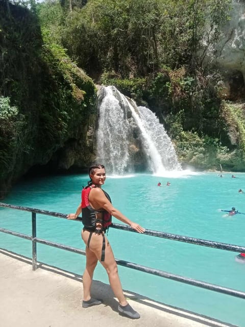 Cebu: Whale Sharks, Kawasan Falls, & Sardines Run Snorkeling - What the $135 price really covers