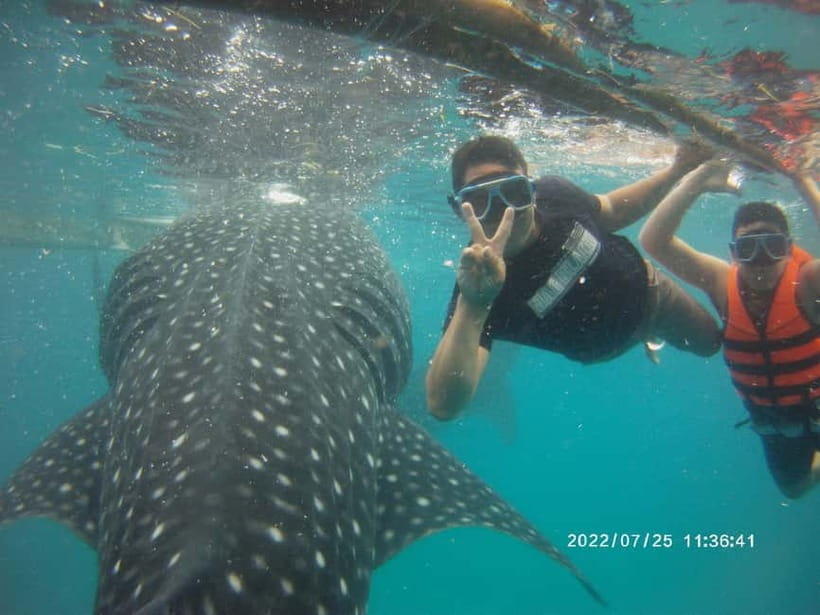 Cebu: Whale Sharks, Kawasan Falls, & Sardines Run Snorkeling - Packing for three wet stops