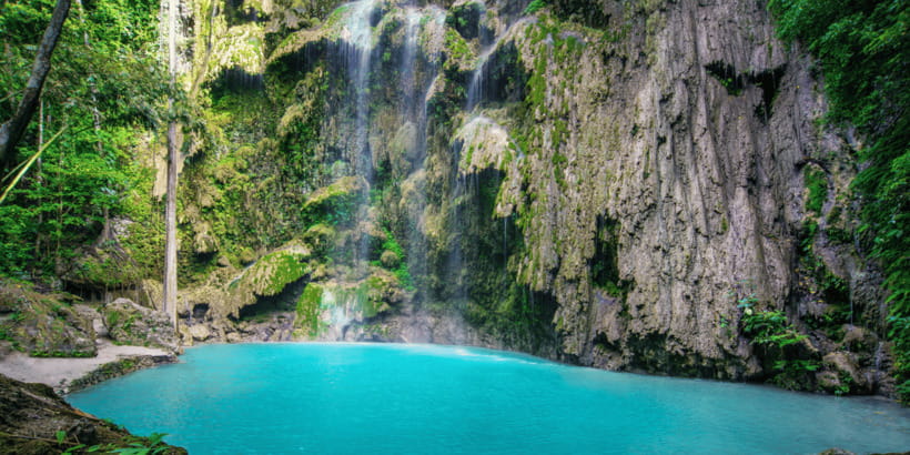 Cebu: Whale Sharks, Tumalog Falls, and Monkey Sanctuary Tour - Should you book the Oslob whale shark tour?