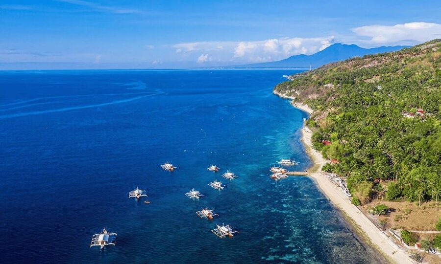 Cebu: Whale Sharks, Tumalog Falls, and Monkey Sanctuary Tour - Who should book this Cebu day trip
