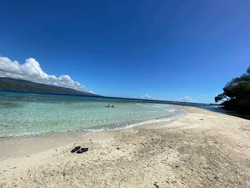 Cebu: Whaleshark Encounter, Sumilon Sandbar & Tumalog Falls - Tumalog Falls and the rainforest setting