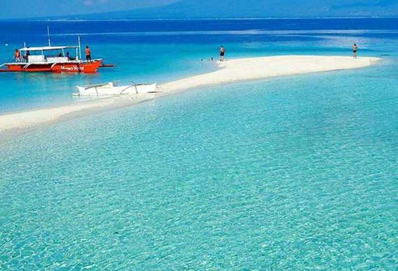 Cebu: Whaleshark Encounter, Tumalog Falls & Sumilon Sandbar - Tumalog Falls in the forest