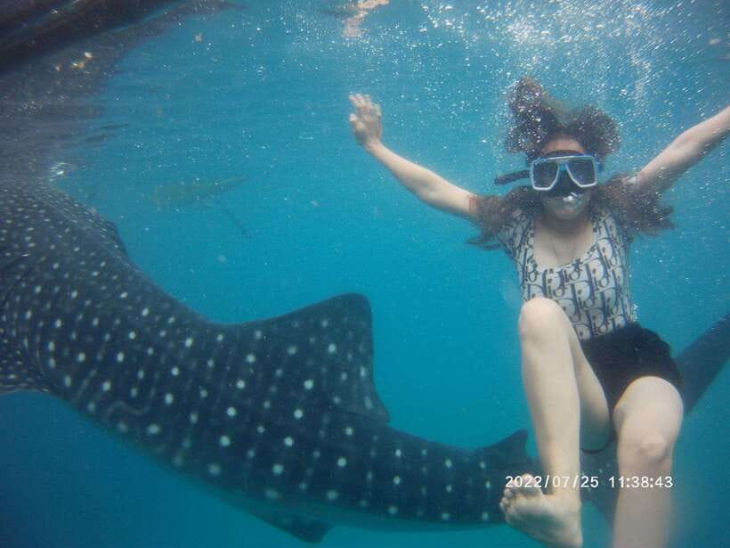 Cebu: Whaleshark Encounter, Tumalog Falls & Sumilon Sandbar - Guides, drivers, and the private-tour setup