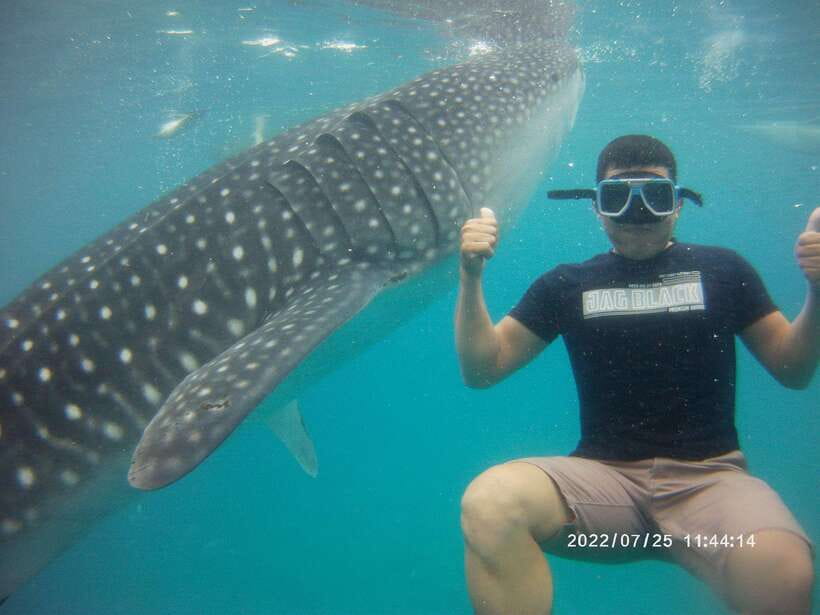Cebu: Whaleshark Encounter, Tumalog Falls & Sumilon Sandbar - The early ride to Oslob