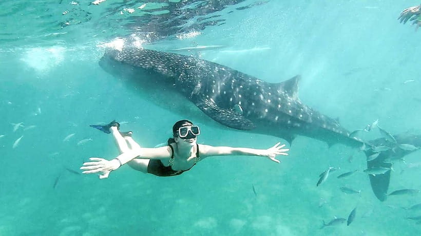 Cebu: Whaleshark Swimming & Kawasan falls Canyoneering Tour - The pre-dawn pickup and long southern drive