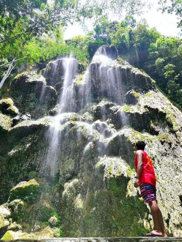 Cebu: WhaleShark , Tumalog Falls, & Sardine Run Snorkeling - Is $124 a fair price for this Cebu day trip?
