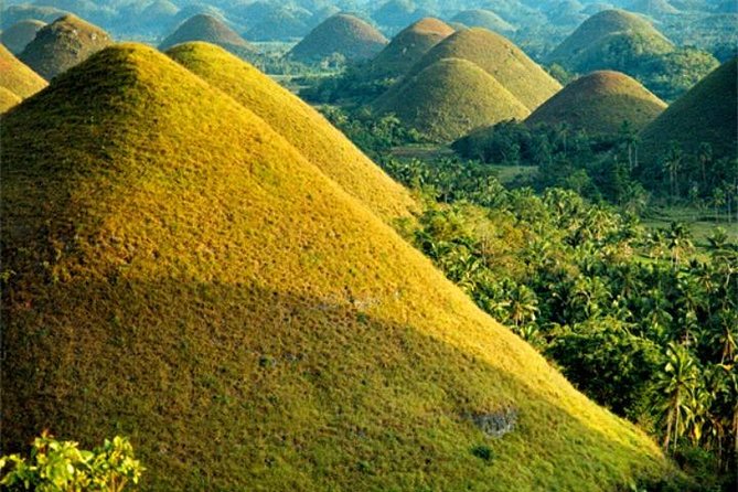 Chocolate hills tour with Tarsier & Loboc river Buffet Lunch (half-day tour) - Why this route works for a first look at Bohol