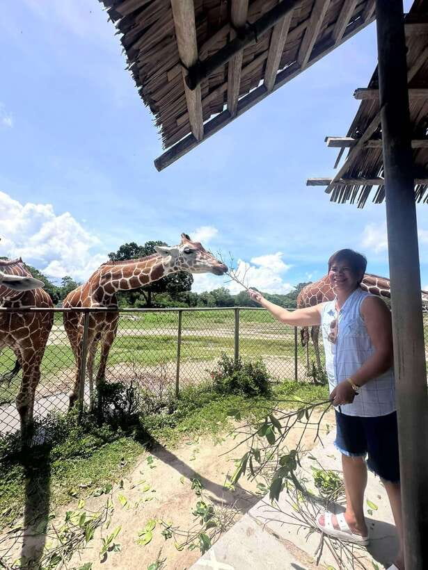 Coron: Calauit Safari Black Island Lunch & Transfer included - A short stop at Malbato Church