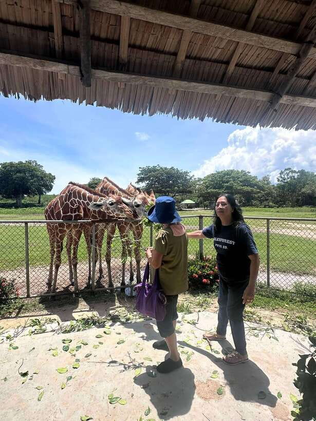 Coron: Calauit Safari Black Island Lunch & Transfer included - Black Island earns its place on the itinerary