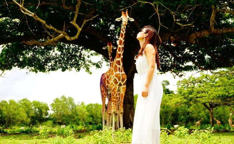 Coron: Calauit Safari Black Island Lunch & Transfer included - What Calauit tells you about the experience