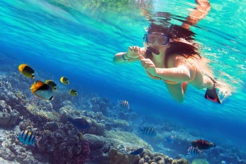 Coron: Coastal Cliffs, Beach & Malcapuya Island Hopping Tour - Key points at a glance