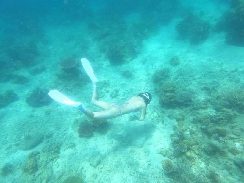 Coron: Dugong Watching with Sea Turtle and Coral Garden tour - Traveling to Busuanga’s feeding area