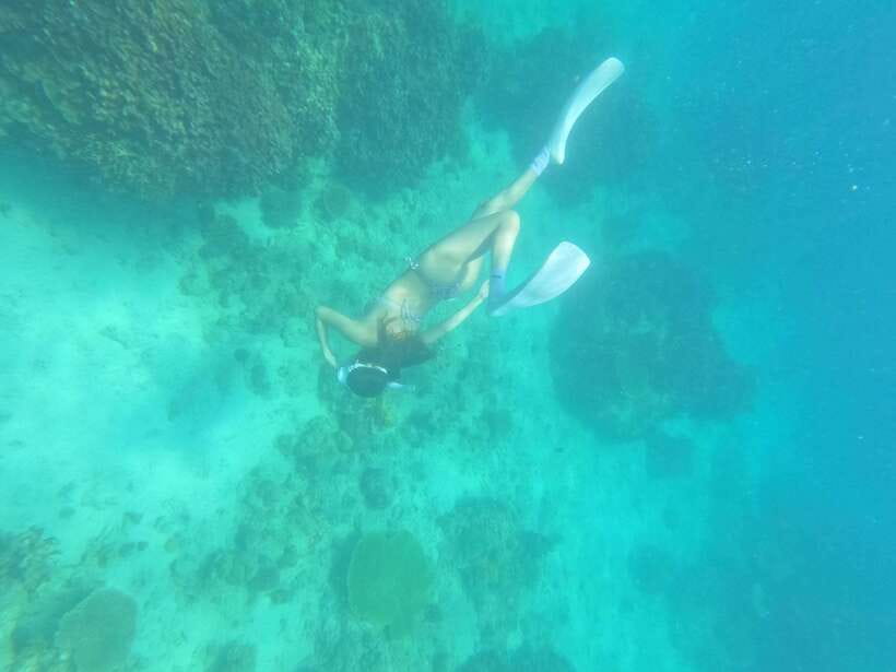 Coron: Dugong Watching with Sea Turtle and Coral Garden tour - Lunch, fruit, and the long ride home