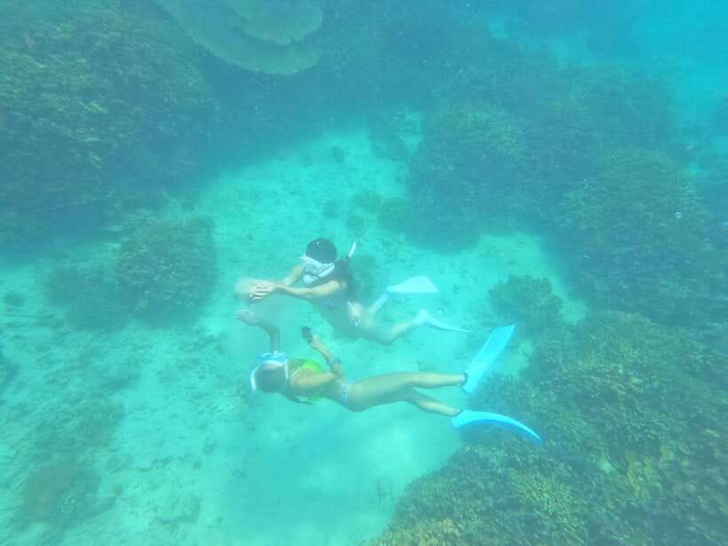 Coron: Dugong Watching with Sea Turtle and Coral Garden tour - Who should book this tour?