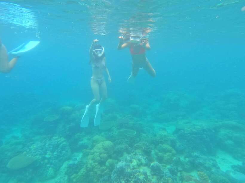 Coron: Dugong Watching with Sea Turtle and Coral Garden tour - The early departure from Coron