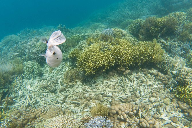 Coron Island Tour B (Private) - The private boat changes how the day feels