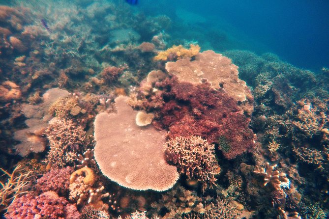Coron Island Tour B (Shared Tour) - What the eight-hour Coron boat day feels like
