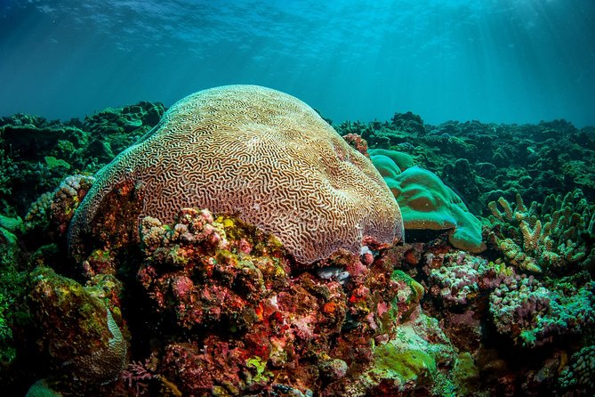 Coron Island Tour B (Shared Tour) - What the $110 price really covers