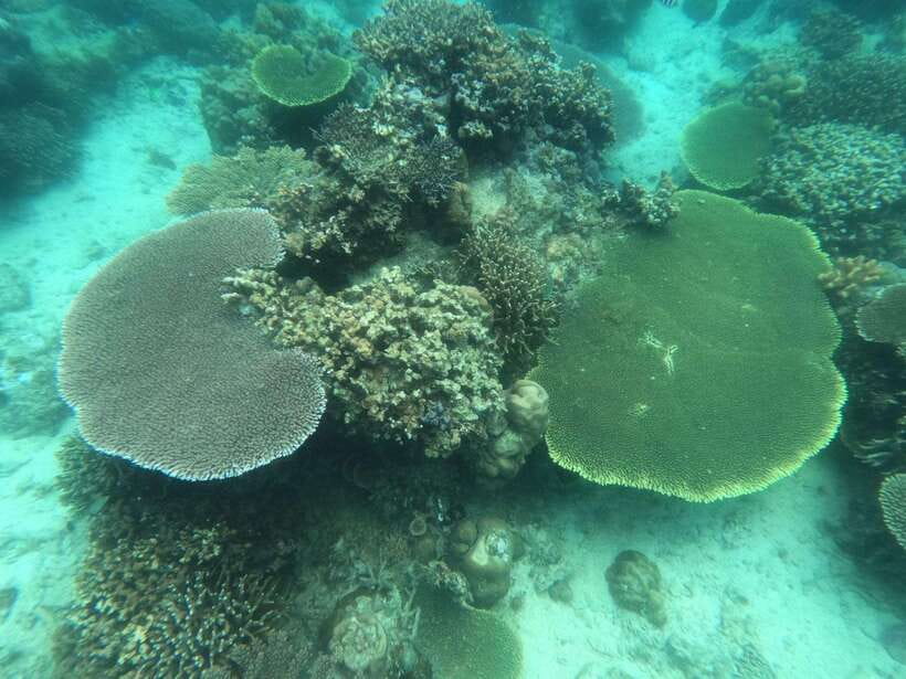 Coron: Kayangan Lake, Twin Lagoon, and Siete Pecados Tour - Atuayan Beach makes room for lunch