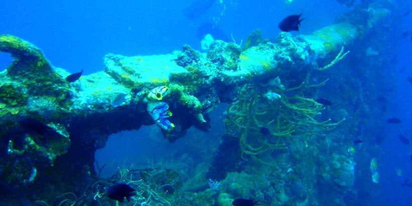 Coron Private Tour D: Reef and Wrecks - What the long route means for your day