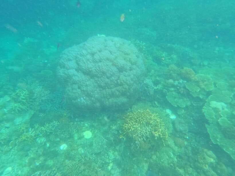 CORON:REEF AND WRECK - 2 JAPANESE WRECK AND PASS ISLAND TOUR - The long boat ride and weather tradeoff