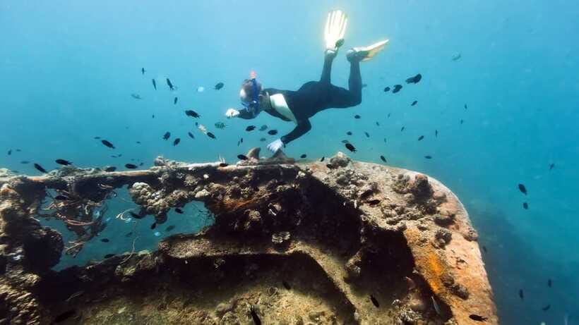 Coron Reef and Wrecks Tour (Private Tour) - Lunch and equipment keep the day simple