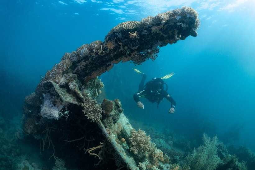 Coron Reef and Wrecks Tour (Private Tour) - How the price compares with the experience
