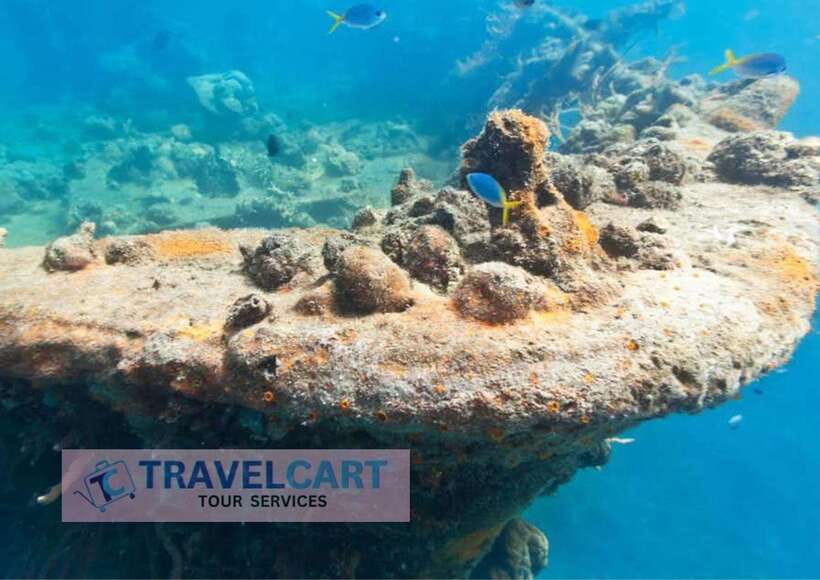 Coron Reef & Wrecks Tour - Lusong Coral Garden and the best snorkeling window