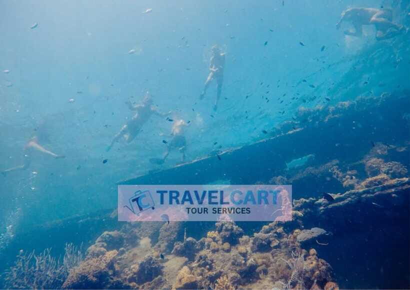 Coron Reef & Wrecks Tour - What the $46 price really covers