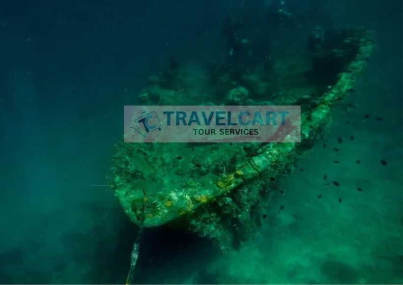 Coron Reef & Wrecks Tour - Who will get the most from this tour
