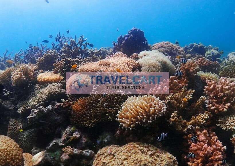Coron Reef & Wrecks Tour - Pass Island gives the day a welcome pause