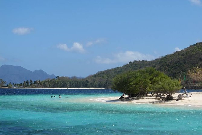 Coron Reefs & Wreck Tour (Shared Tour) - Why Coron’s wrecks make this route worthwhile