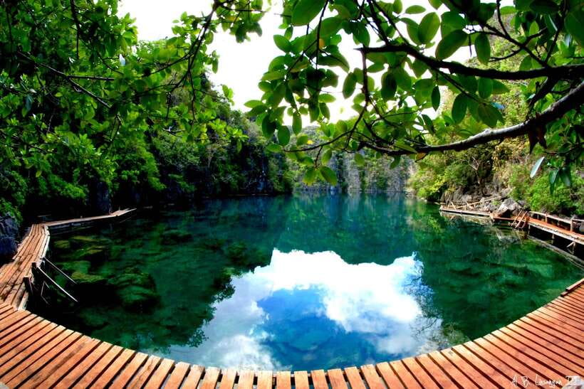 Coron Tour A: Kayangan Lake & Quin Reef Tour with Lunch - CYC Beach, mangroves, and easy swimming