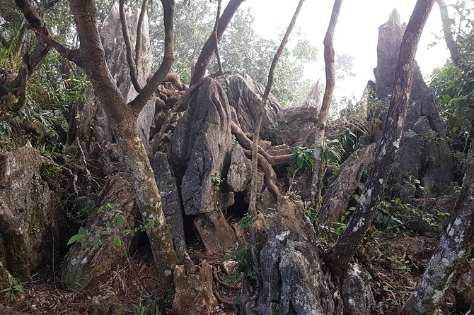 Day hike to Mount Daraitan with Tinipak River 2024 - Climbing Mount Daraitan at 739 meters