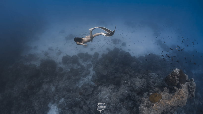 Discover Freediving in Boracay - Underwater scenery and marine life around Boracay