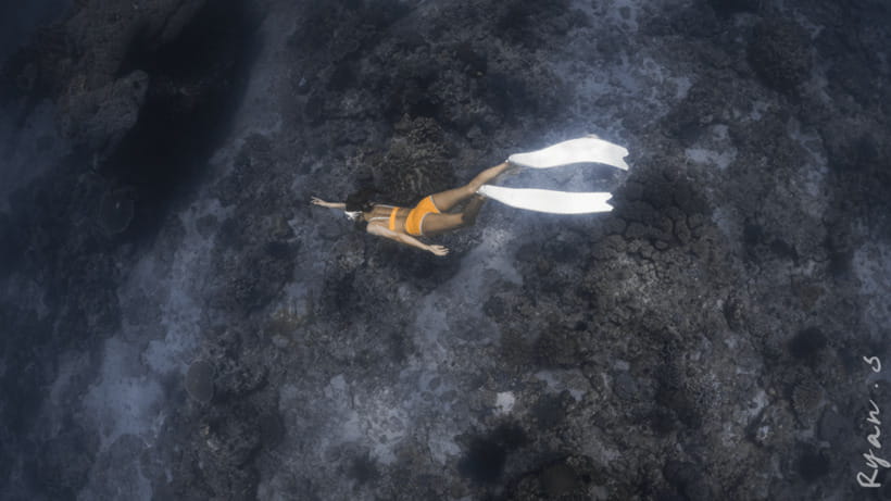 Discover Freediving in Boracay - Is $57 good value for Boracay?
