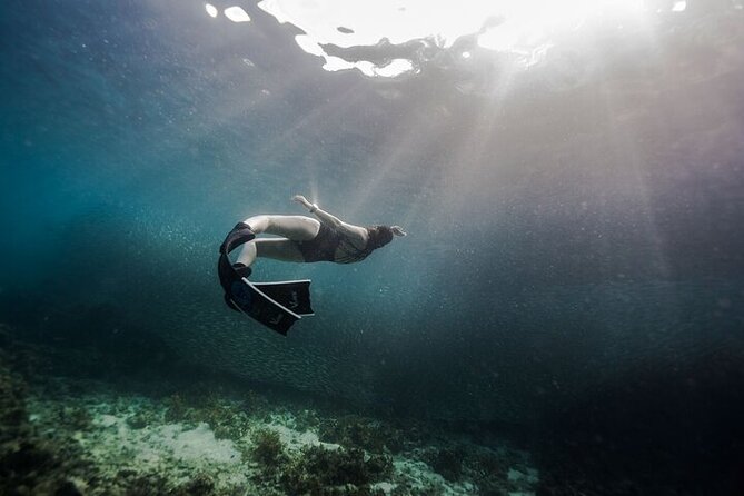 Discover Freediving One Amazing Day - A calm morning in the pool