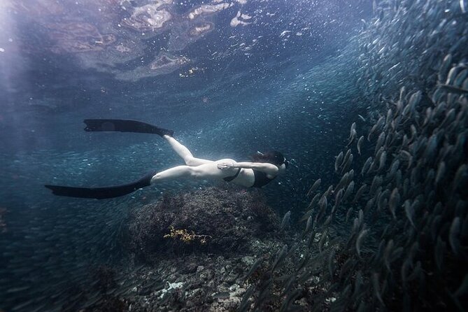 Discover Freediving One Amazing Day - Coaching, safety, and the people leading the day