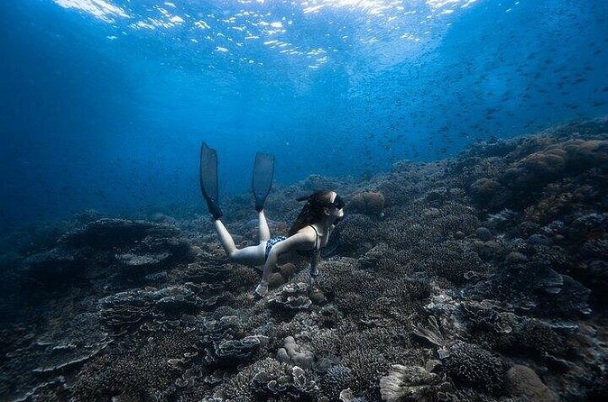 Discover Freediving One Amazing Day - Booking, cancellations, and group size