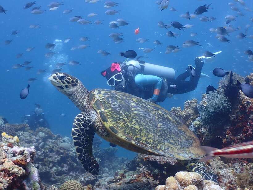 Discover Scuba Diving in Boracay - The equipment and getting comfortable