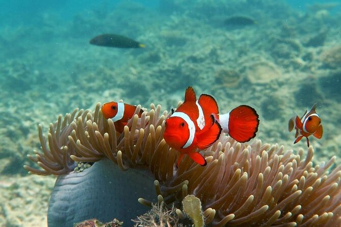 Discover Scuba diving in El Nido - Timing, meeting point, and small details that matter