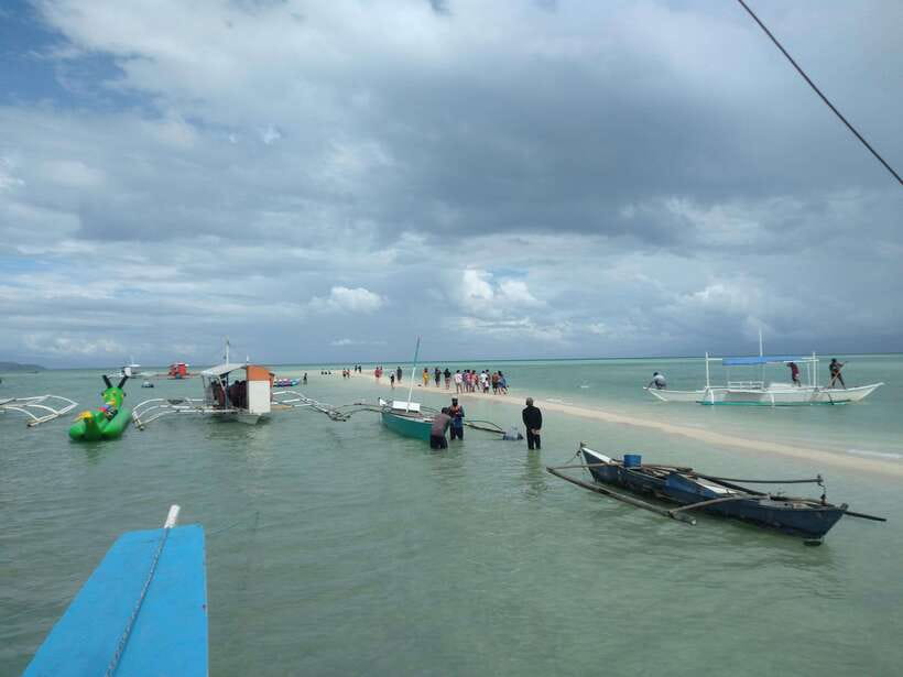 Dumaguete: Dolphin Watching & Manjuyod Sandbar Private Tour - Languages, guide service, and communication