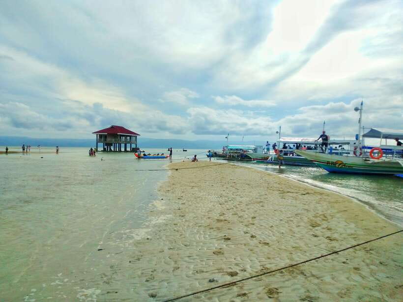 Dumaguete: Dolphin Watching & Manjuyod Sandbar Private Tour - Who should book this Dumaguete day trip?