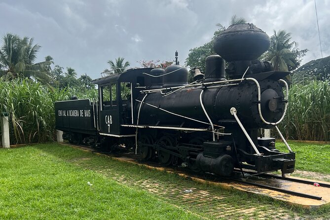 Dumaguete Tours in English - Baslay Coffee Forest is the easiest stop to love