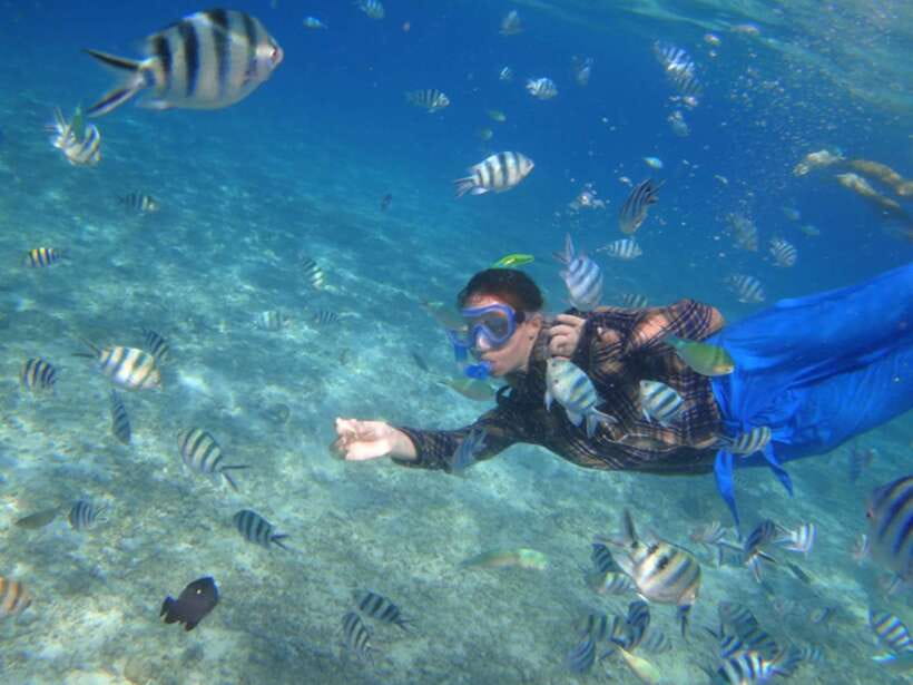 El Nido: Island Hopping Tour A Lagoons and Beaches - Shared or private boat?
