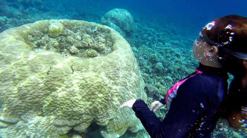 El Nido: Island Hopping Tour B Cudognong Cave & More - Why Tour B is a good alternative to El Nido’s busier routes